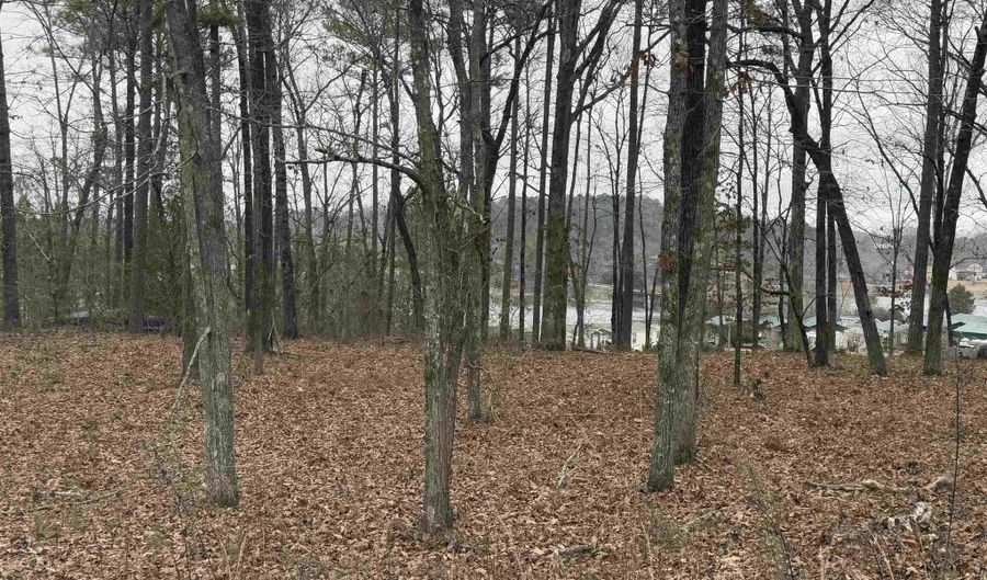 1 CENTURAS Cir 2, Alpine, AL 35014 - 0 Beds, 0 Bath
