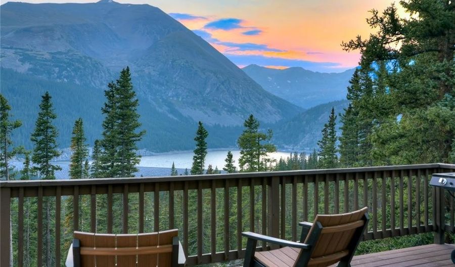 95 SETTELE Ln, Alma, CO 80420 - 4 Beds, 3 Bath
