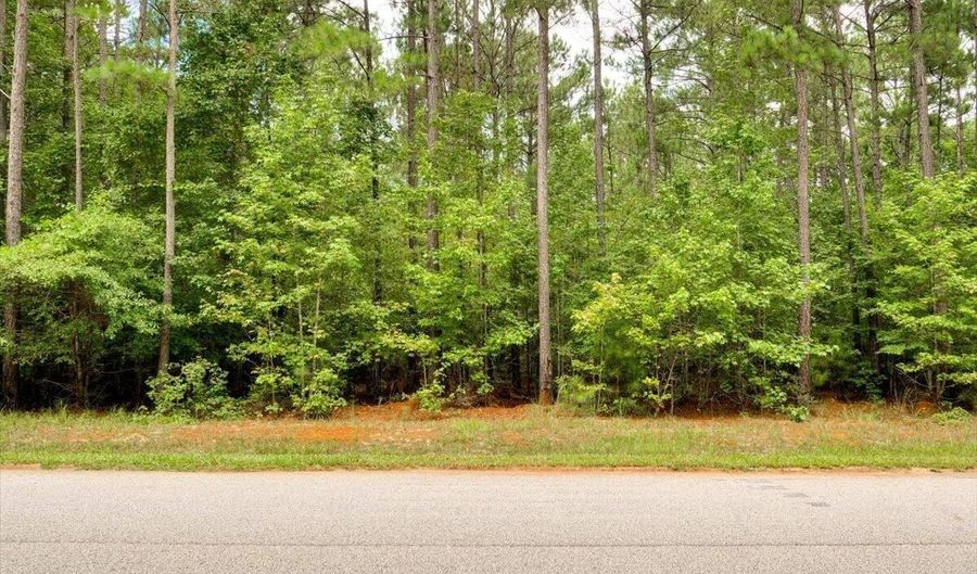 Lot 57 Lighthouse Pointe, Lincolnton, GA 30817 - 0 Beds, 0 Bath