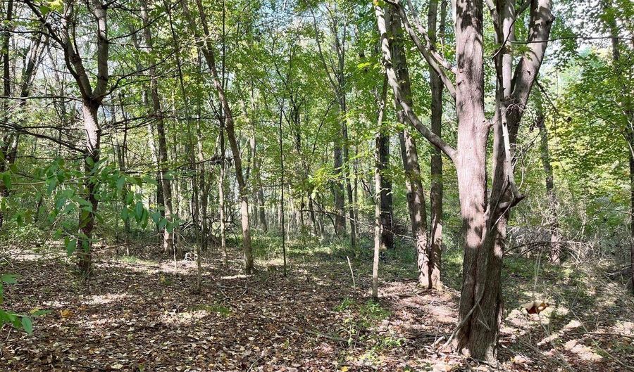 7500 Conservation NE, Ada, MI 49301 - 0 Beds, 0 Bath