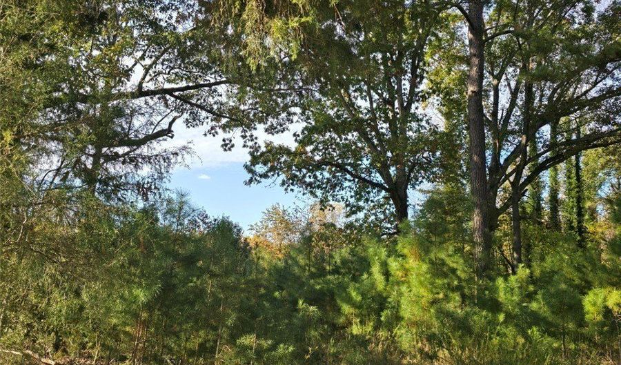 Parcel B Patrick Henry Highway, Amelia, VA 23002 - 0 Beds, 0 Bath