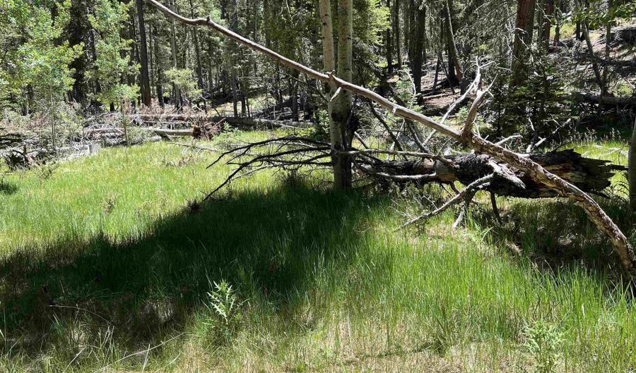 Alpine Lake Way Lot 3 Blk E, Angel Fire, NM 87710 - 0 Beds, 0 Bath