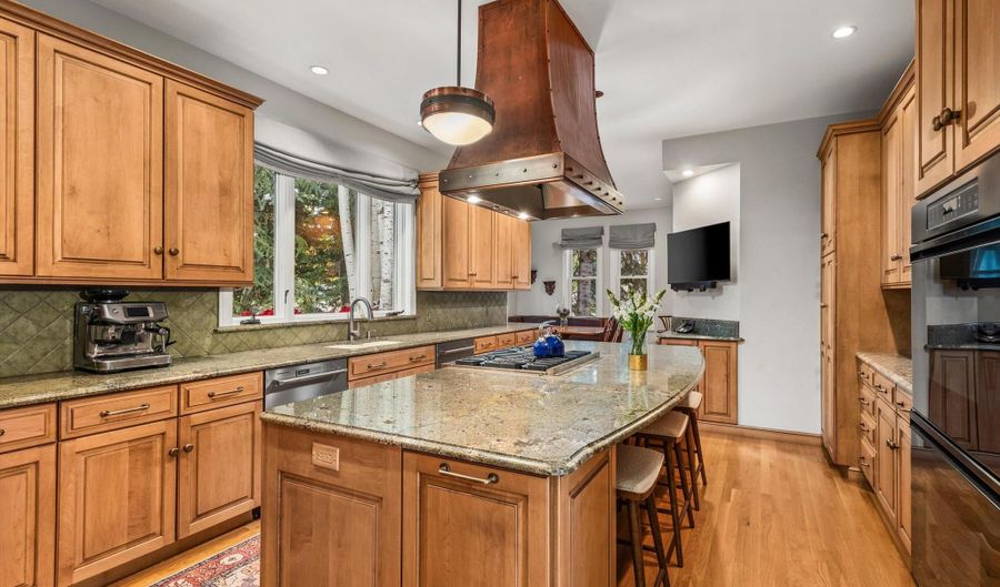 431 W Hopkins Ave, Aspen, CO 81611 - 5 Beds, 6 Bath