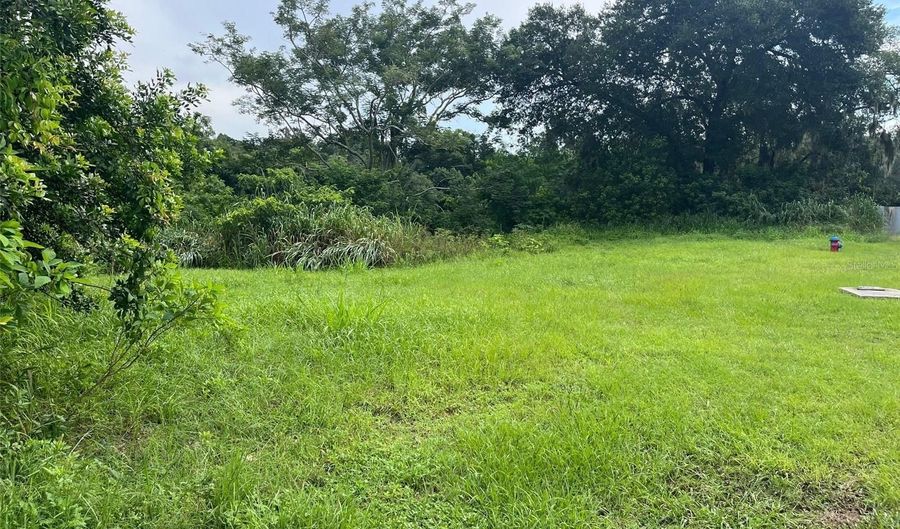 E CLEVELAND STREET E, Apopka, FL 32703 - 0 Beds, 0 Bath