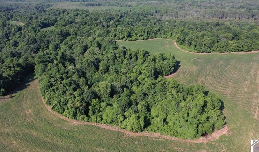 Sandy Branch Road, Bardwell, KY 42023 - 0 Beds, 0 Bath