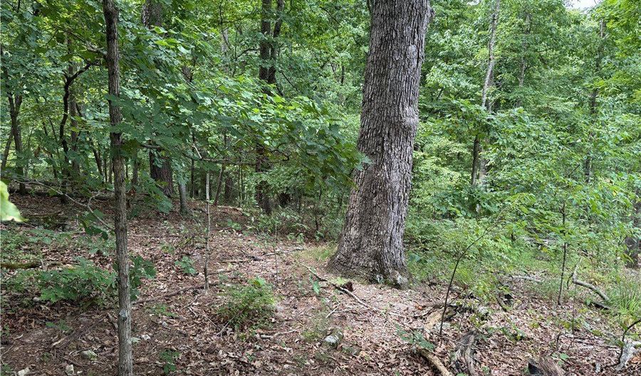 15 Dregg Ln Lot 11, Bella Vista, AR 72714 - 0 Beds, 0 Bath