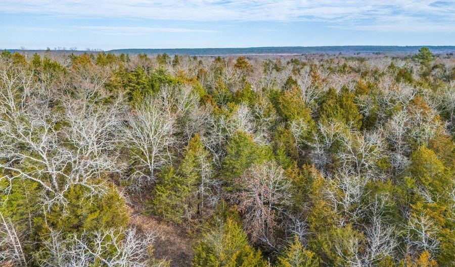 Rocky Pt Loop, Antlers, OK 74523 - 0 Beds, 0 Bath