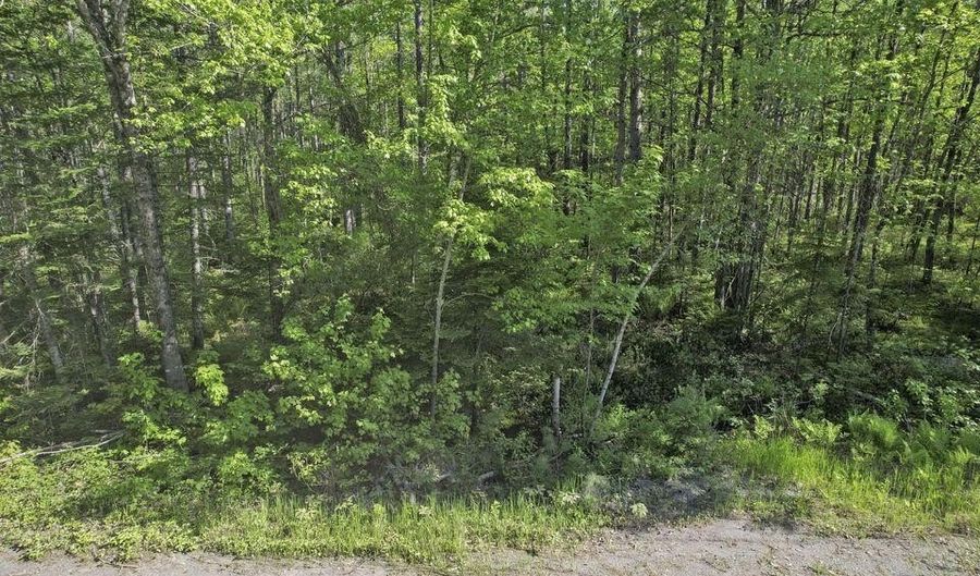 31 Howard Siding Lane Ln, Abbot, ME 04406 - 0 Beds, 0 Bath
