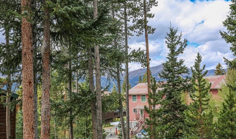 6 Southface Dr 2, Breckenridge, CO 80424 - 2 Beds, 2 Bath