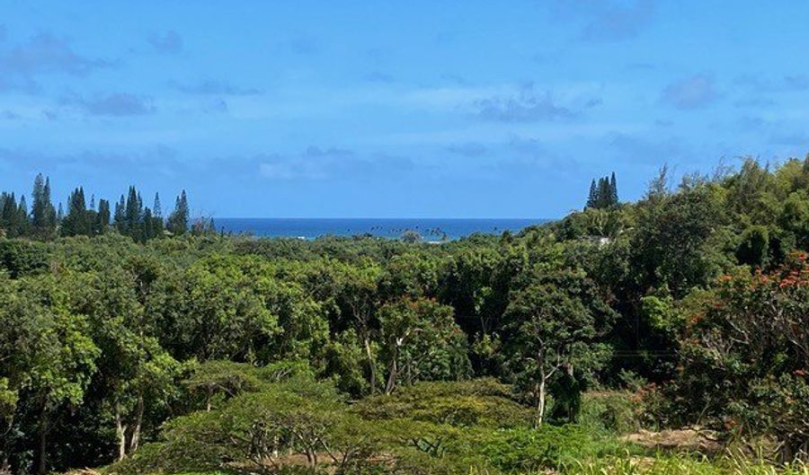 KANAELE RD, Kapaa, HI 96746 - 0 Beds, 0 Bath