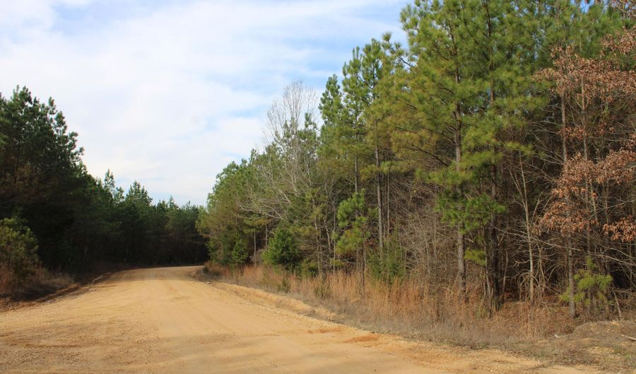 120 Collier Rd, Hickory Flat, MS 38633 - 0 Beds, 0 Bath
