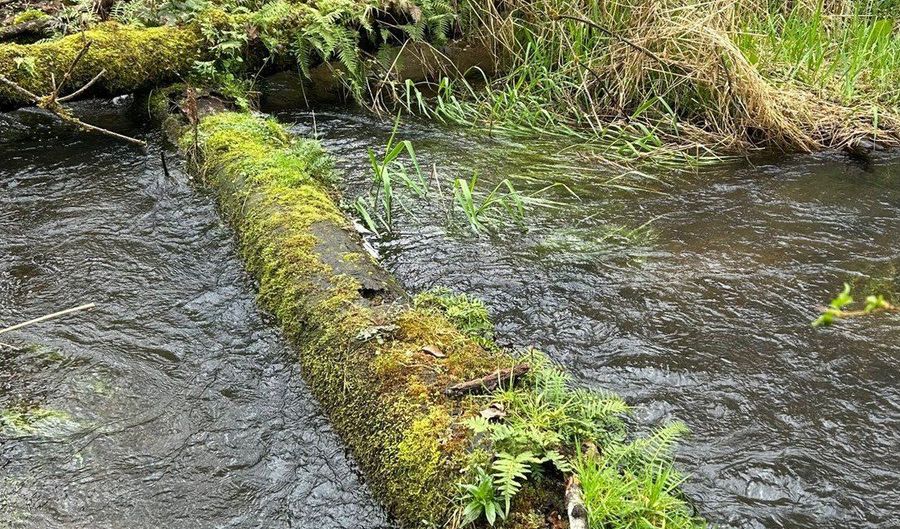 39402 NE 211TH Ave, Amboy, WA 98601 - 3 Beds, 1 Bath