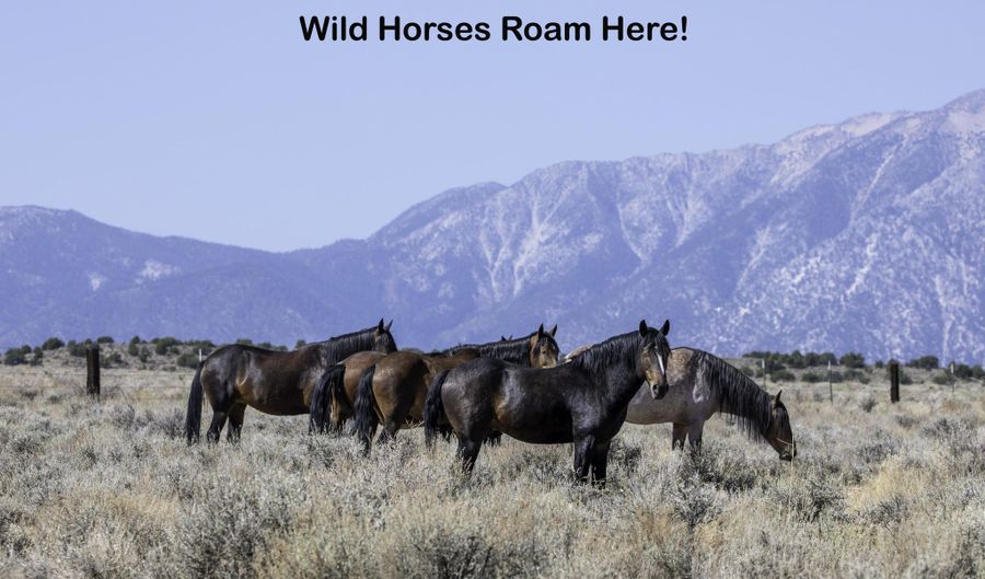 345 Veris Ct 2, Gardnerville, NV 89410 - 0 Beds, 0 Bath