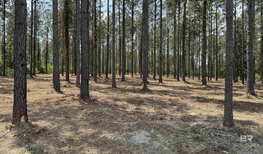 Ronald Sanks Road, Bay Minette, AL 36507 - 0 Beds, 0 Bath