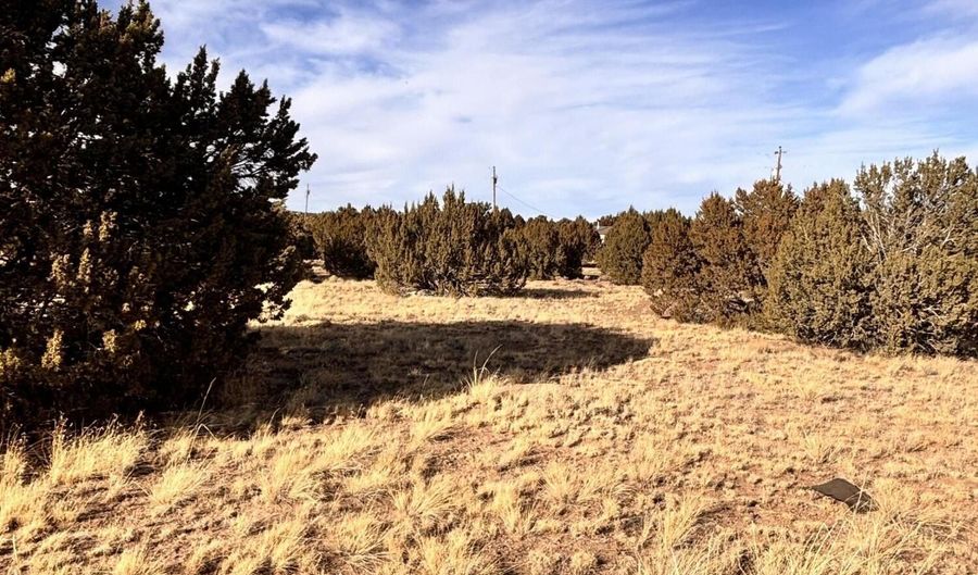 37 Cinder Dr, Concho, AZ 85924 - 0 Beds, 0 Bath