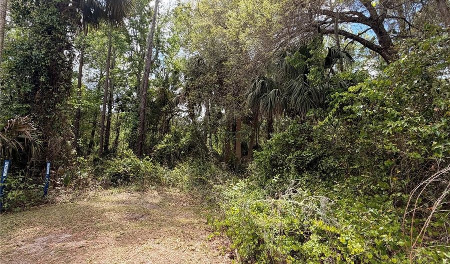 COUNTY ROAD 445A, Astor, FL 32102 - 0 Beds, 0 Bath