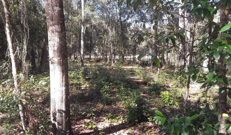 BEAVERHEAD STREET, Alford, FL 32420 - 0 Beds, 0 Bath