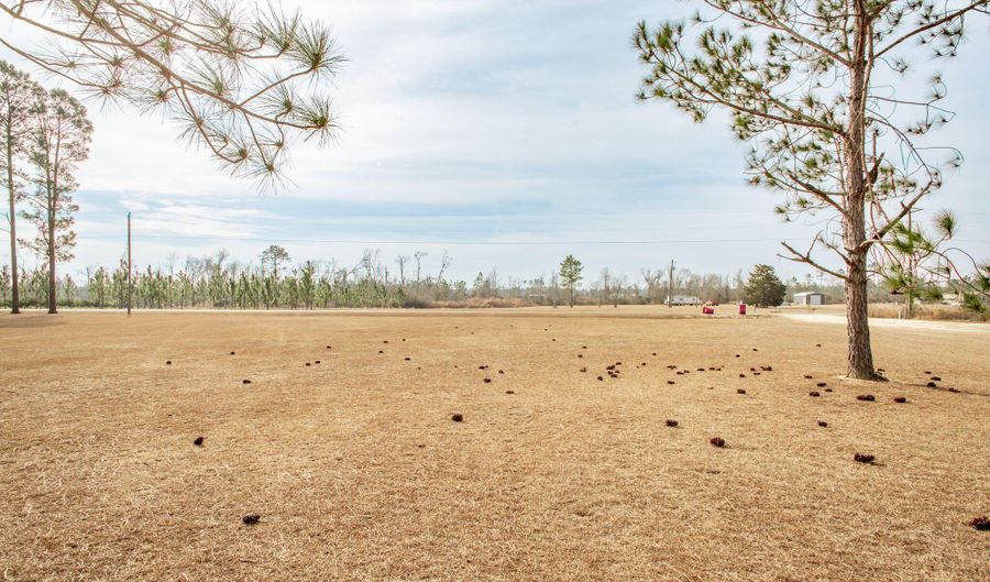 325 New Hope Church Rd, Alma, GA 31510 - 4 Beds, 2 Bath