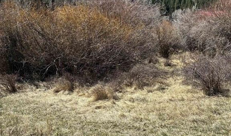 Cottonwood Drive lot 48, Antonito, CO 81120 - 0 Beds, 0 Bath
