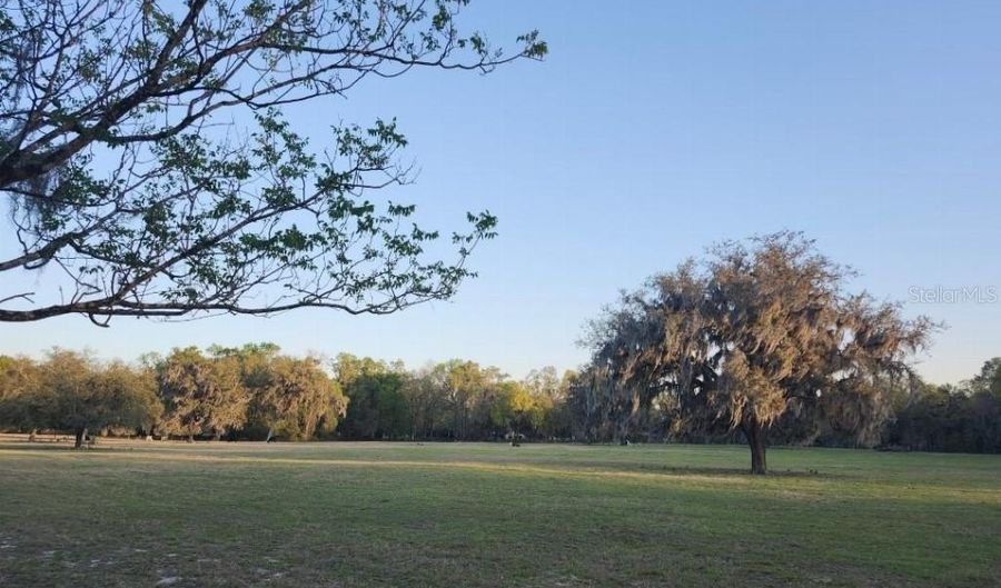 0 NE 132ND Pl, Anthony, FL 32617 - 0 Beds, 0 Bath