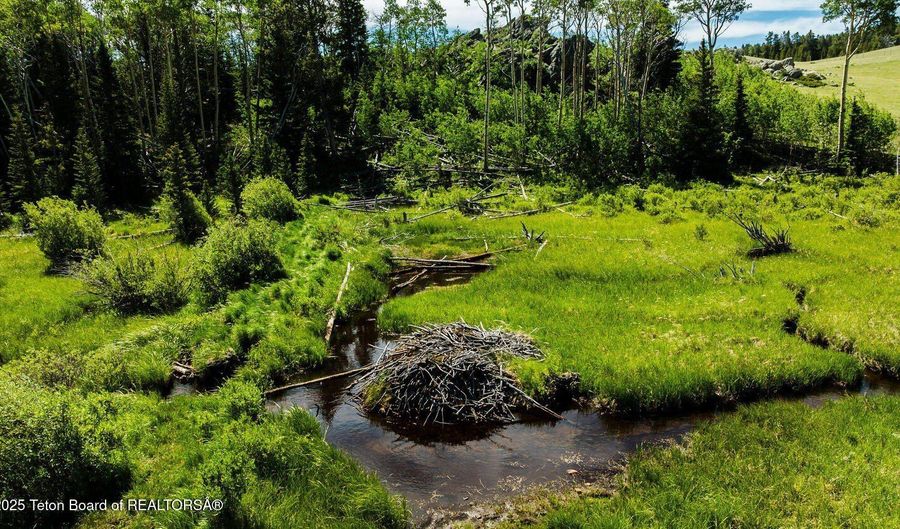 HAZELTON PEAK RANCH, Buffalo, WY 82834 - 0 Beds, 0 Bath