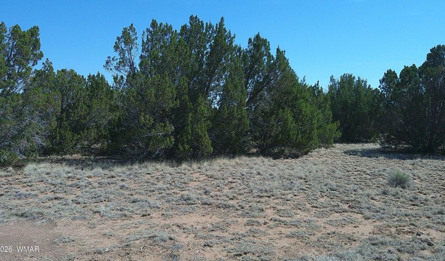 Concho Valley lot 3, Concho, AZ 85924 - 0 Beds, 0 Bath