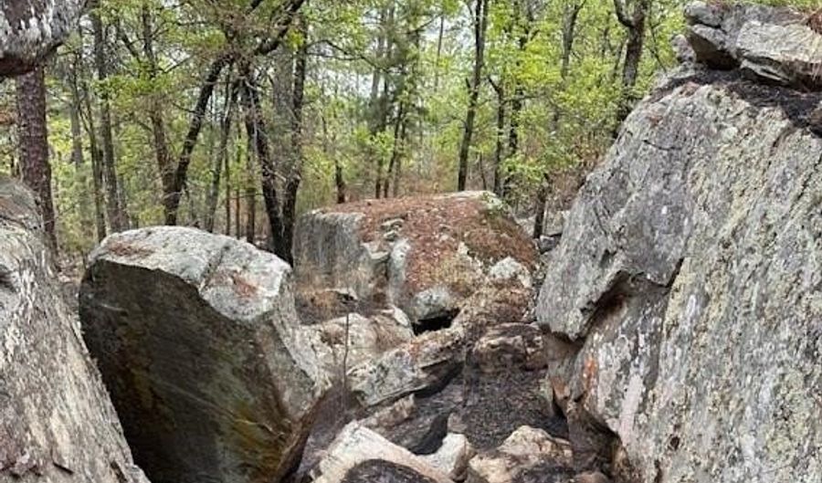 TBD Kiamichi Wilderness, Antlers, OK 74523 - 0 Beds, 0 Bath