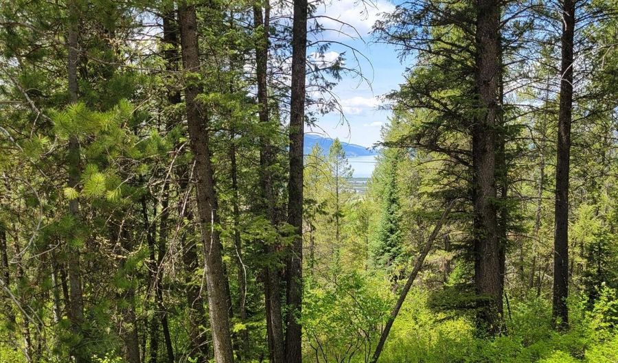 LOT 22 TRAIL RIDGE ROAD, Alpine, WY 83128 - 0 Beds, 0 Bath