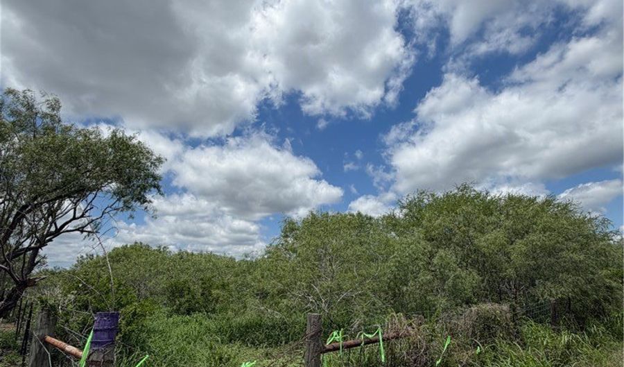 County Road 137, Alice, TX 78332 - 0 Beds, 0 Bath