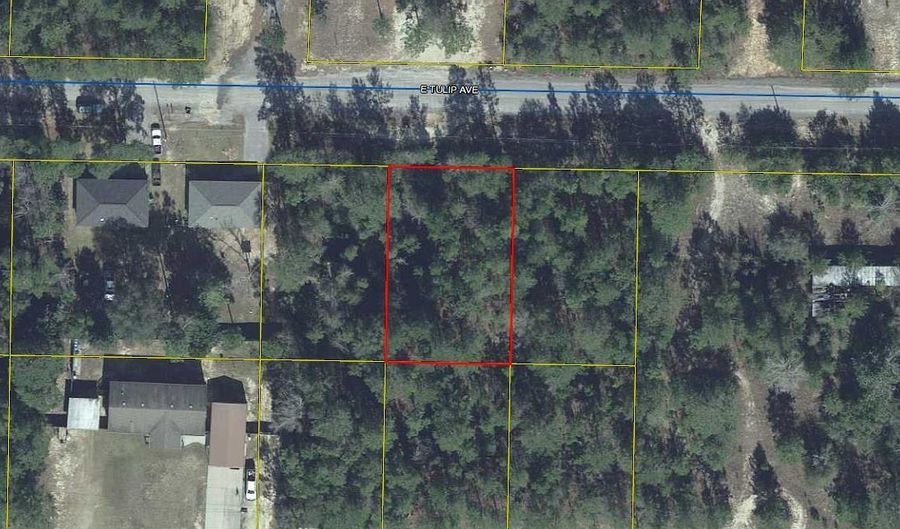 Lot 9 E Tulip Avenue, Defuniak Springs, FL 32433 - 0 Beds, 0 Bath