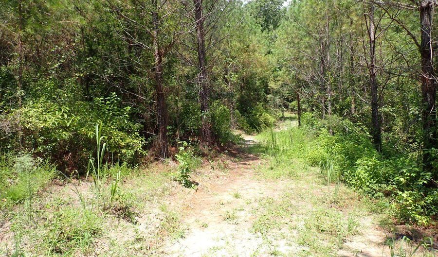 Adams Road, Bankston, AL 35542 - 0 Beds, 0 Bath
