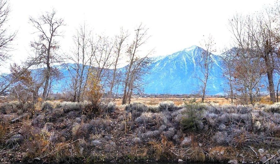 521 Wyatt Lane Lot 1200-10-201-013, Gardnerville, NV 89460 - 0 Beds, 0 Bath