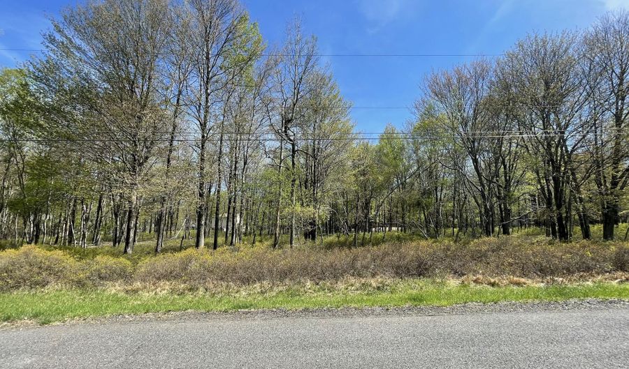Forest Hill Drive, Blakeslee, PA 18610 - 0 Beds, 0 Bath