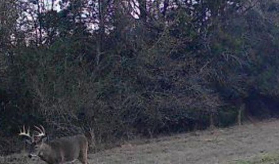 Hwy 131, Baker Hill, AL 36027 - 0 Beds, 0 Bath