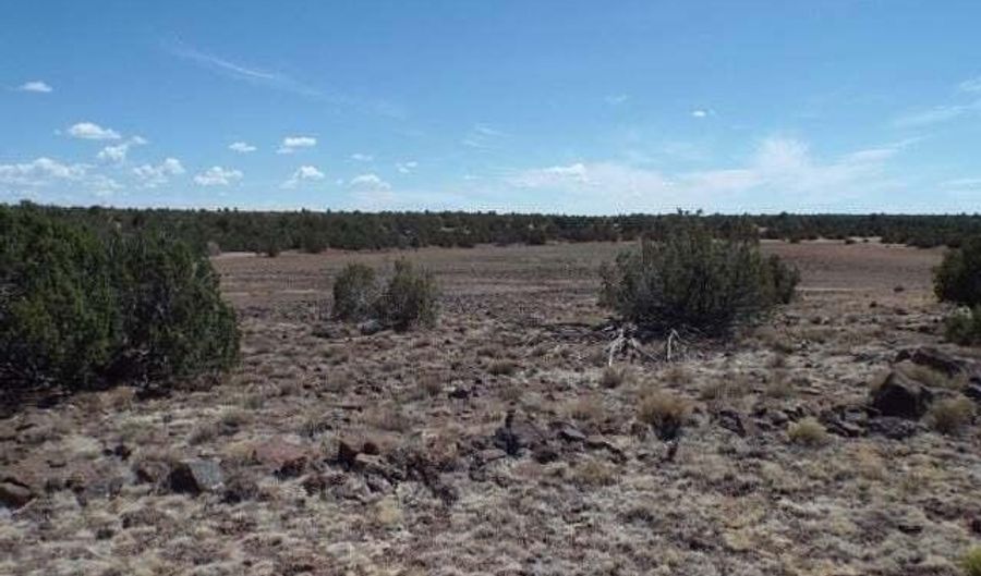 8085 County Rd, Concho, AZ 85924 - 0 Beds, 0 Bath