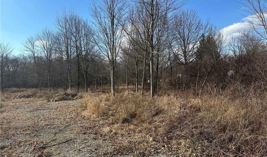 Vacant Land Chardon Road, Willoughby, OH 44094 - 0 Beds, 0 Bath