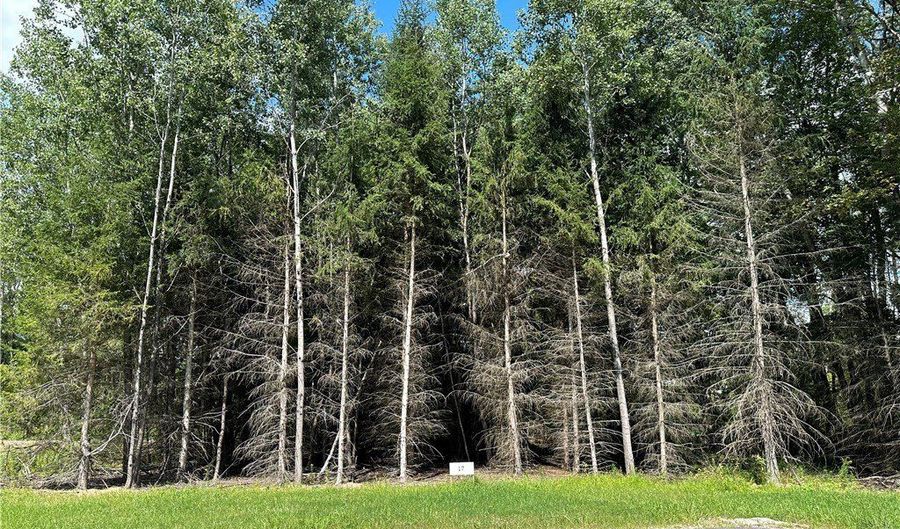 Tanglewood Development lot 17, Allegany, NY 14706 - 0 Beds, 0 Bath