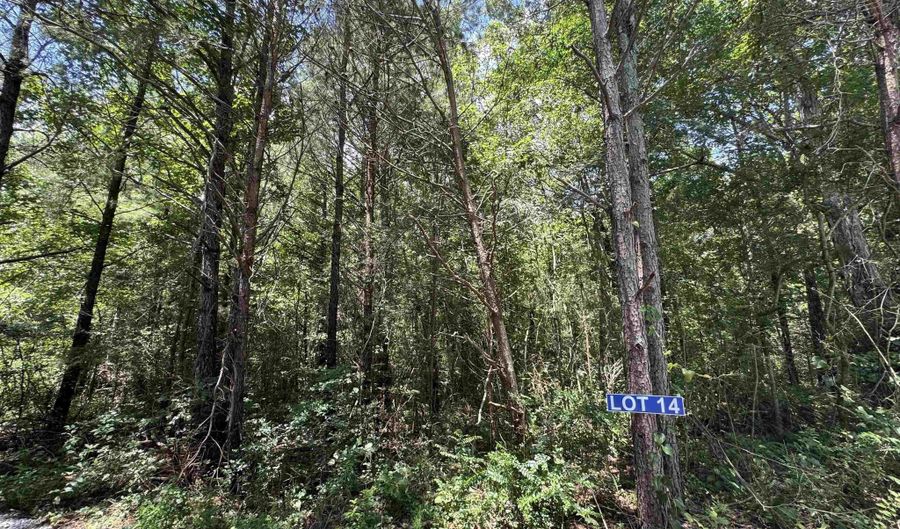 14 Hogs Ln, Albertville, AL 35951 - 0 Beds, 0 Bath