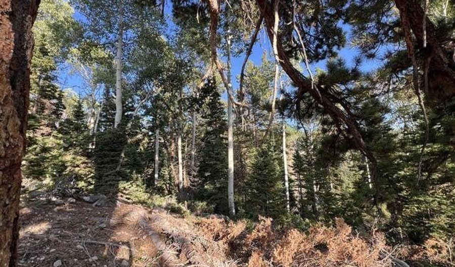 Ponderosa West Village, Beaver, UT 84713 - 0 Beds, 0 Bath