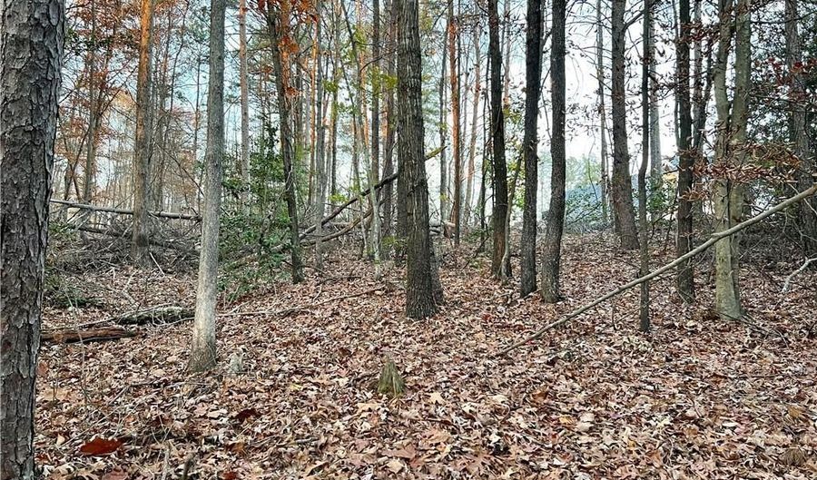 0 Pebble Creek Ln, Alto, GA 30510 - 0 Beds, 0 Bath