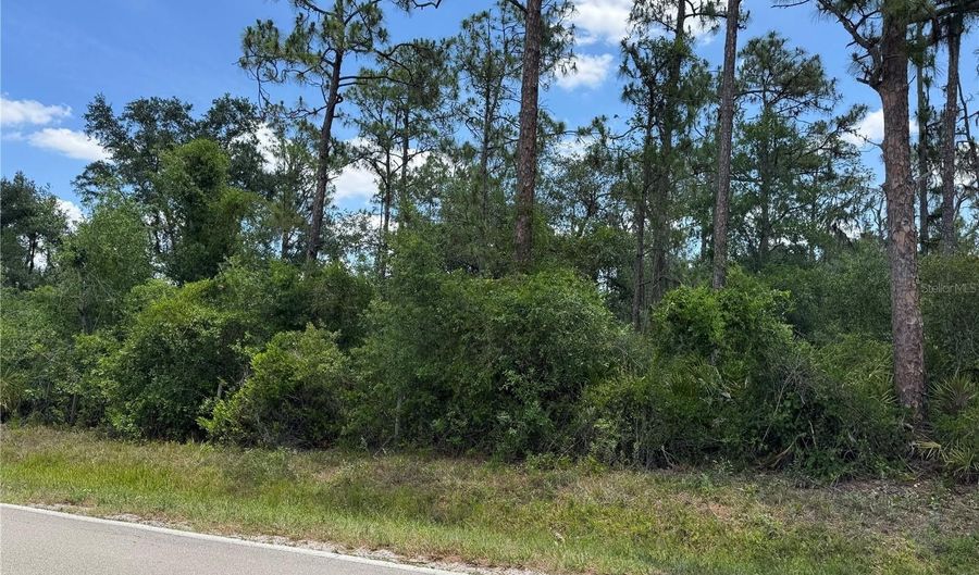 SW FLORIDA ROAD, Arcadia, FL 34266 - 0 Beds, 0 Bath