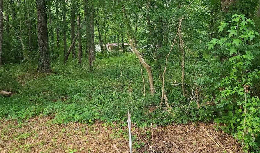 000 SHORE Dr 420, 421, 422, Ashville, AL 35953 - 0 Beds, 0 Bath
