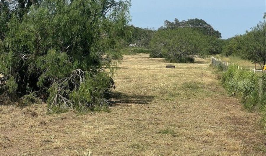 197 COUNTY ROAD 1171, Alice, TX 78332 - 0 Beds, 0 Bath