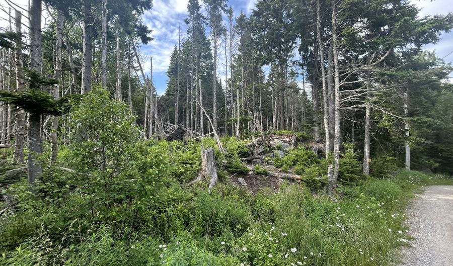 8 9 10 & 14 Kent/Bar Island/Wohoa Bay Rd, Addison, ME 04606 - 0 Beds, 0 Bath