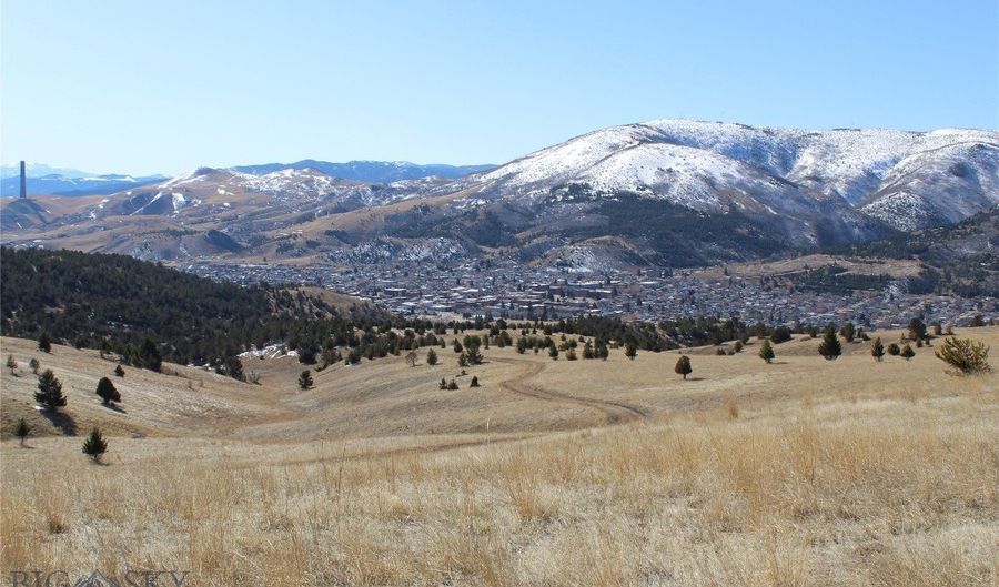 GOV LOTS 1-5, Anaconda, MT 59711 - 0 Beds, 0 Bath
