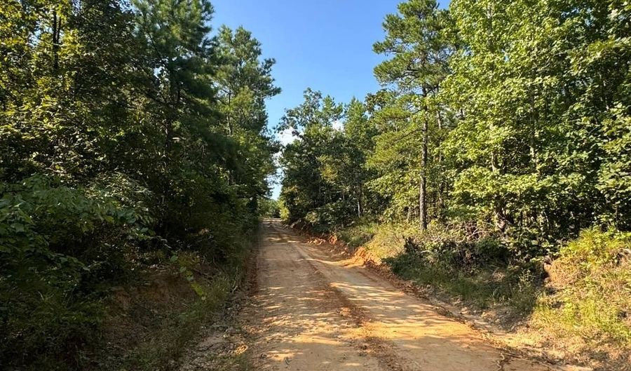 0 Military Rd, Beaverton, AL 35544 - 0 Beds, 0 Bath