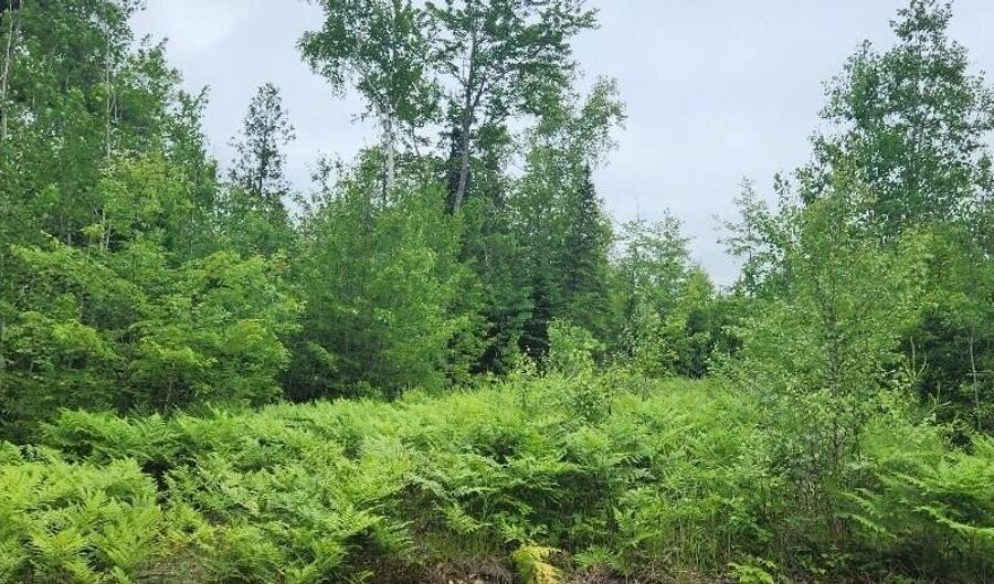 Map2lot10 Pinkham Road, Acton, ME 04468 - 0 Beds, 0 Bath