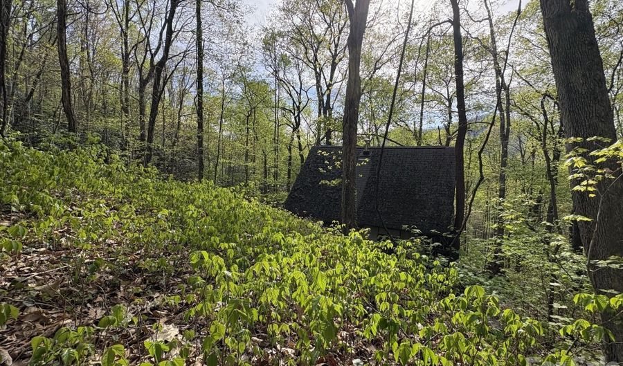 999999 Harwood Rd, Barnardsville, NC 28709 - 0 Beds, 0 Bath