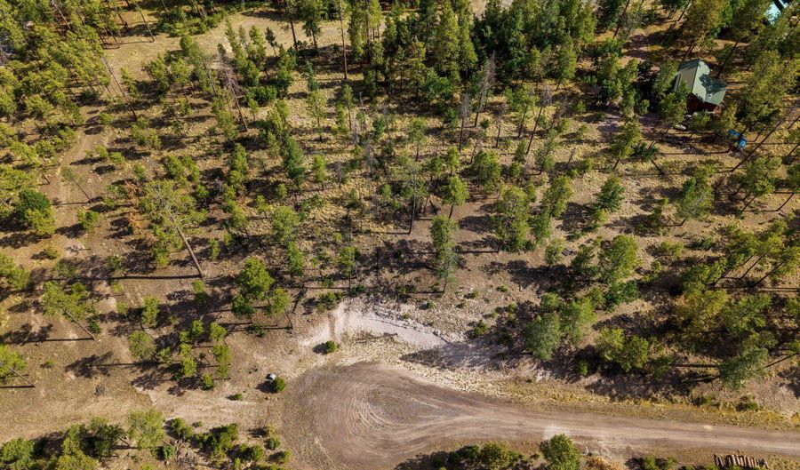 CR 2193, Alpine, AZ 85920 - 0 Beds, 0 Bath