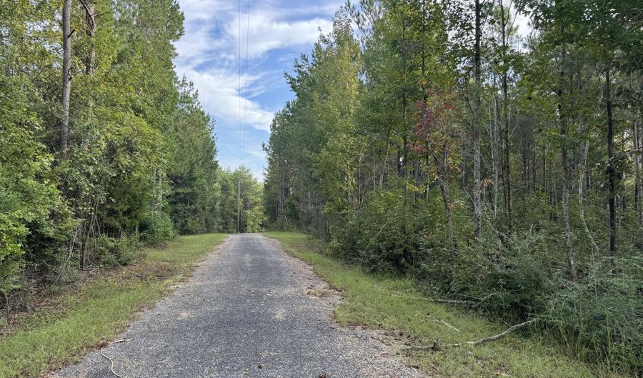 741 SE Hughs Hill Ln, Brookhaven, MS 39601 - 0 Beds, 0 Bath